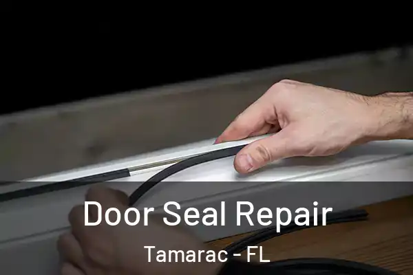 Door Seal Repair Tamarac - FL